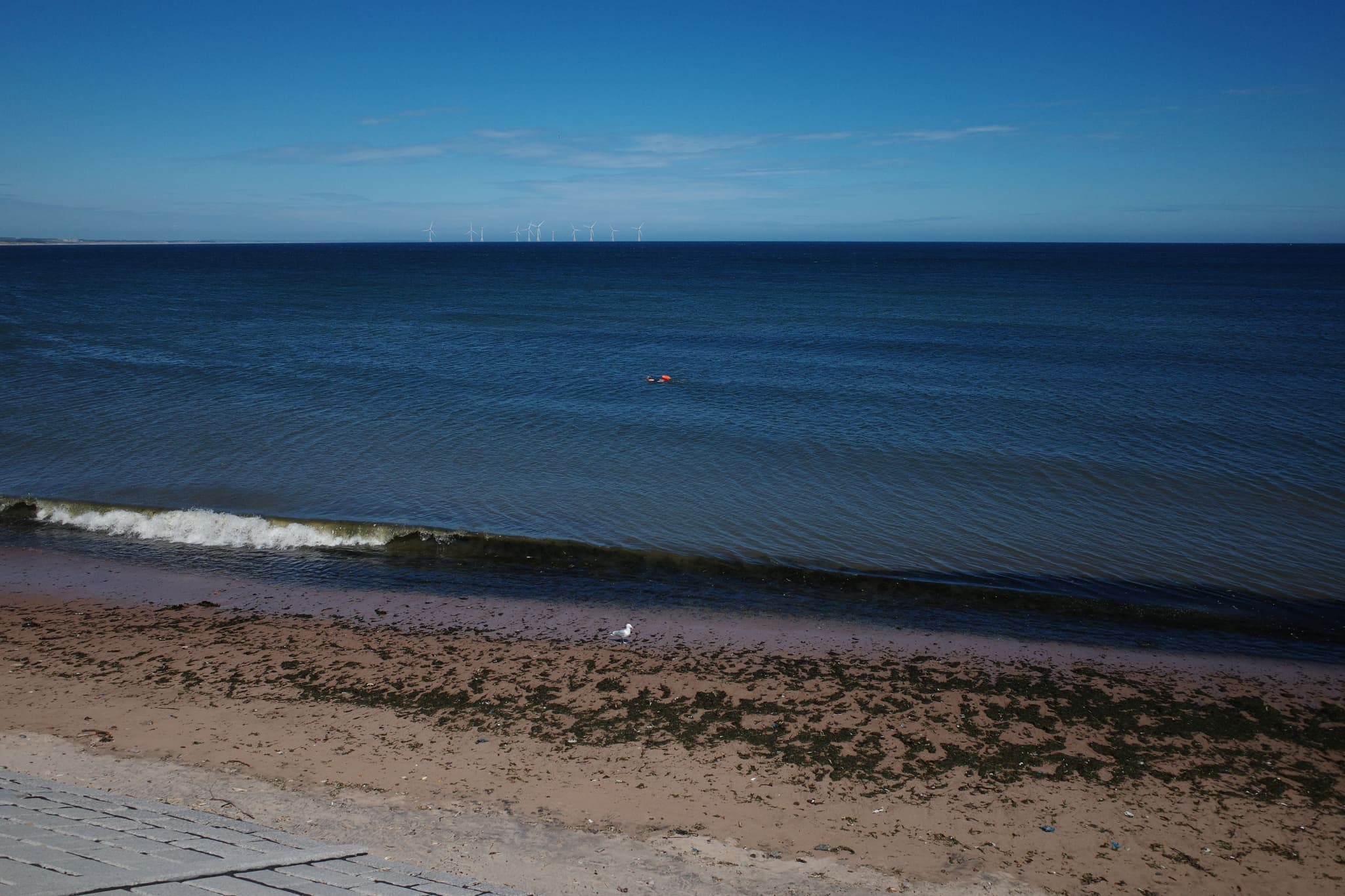 The Lone Swimmer