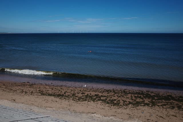 The Lone Swimmer