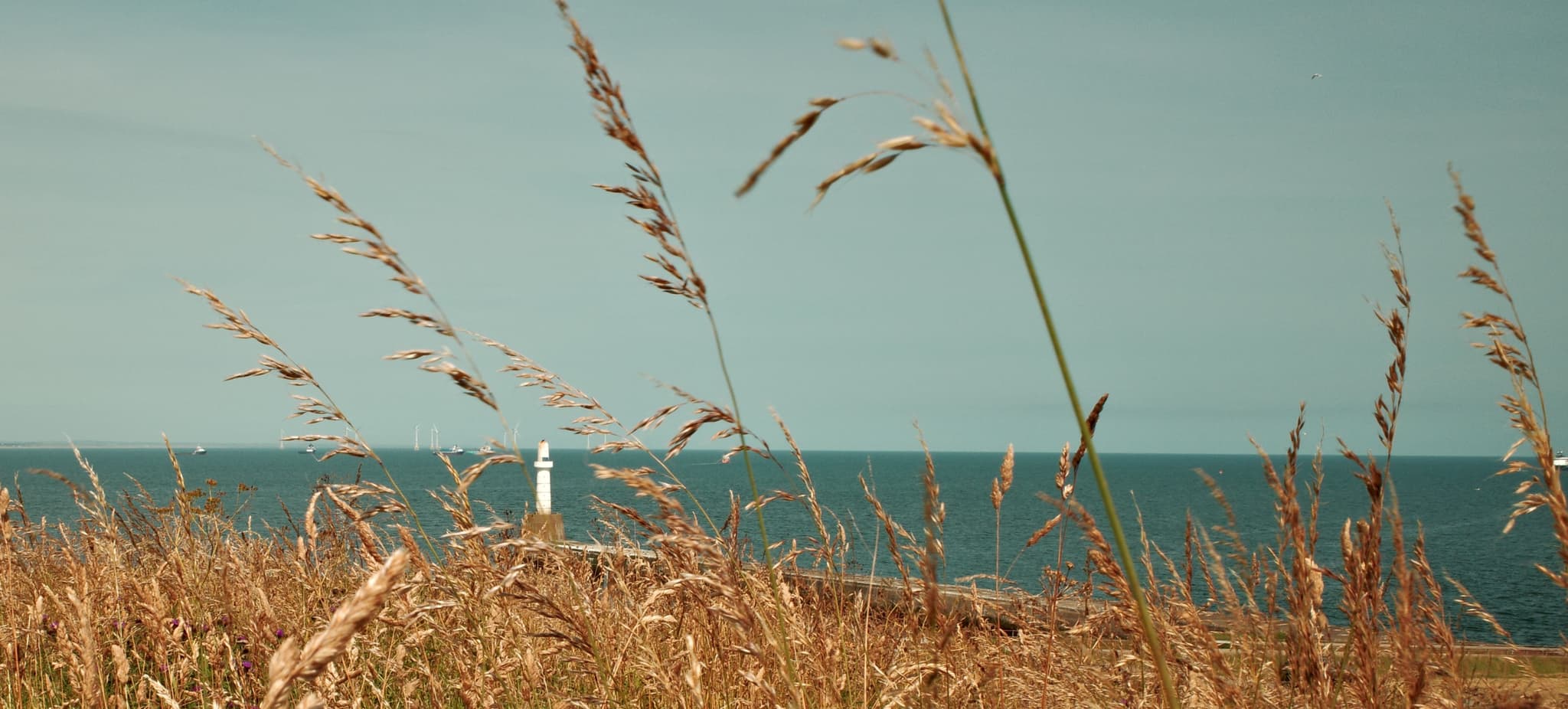 Lighthouse Through The Grass