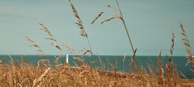 Lighthouse Through The Grass