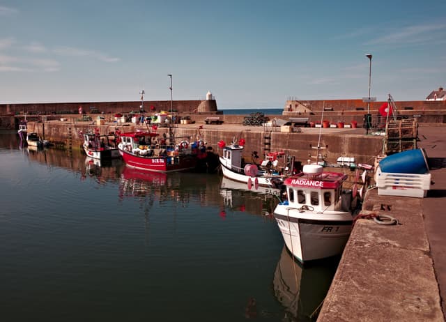 Busy Harbour