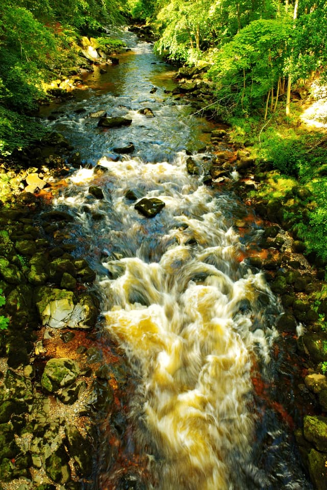 Silky Rapids